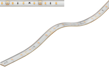 Ledstrip in siliconenslang, Häfele Loox5 LED 2063 12 V 8 mm 2-pol. (monochroom), 60 leds/m, 4,8 W/m, IP44