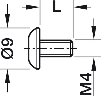 Metaalschroef, met schroefdraad M4, kruiskop PZ2, staal