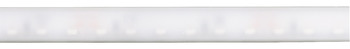 LED-strip in siliconenslang, Häfele Loox5 LED 2099, 12 V, monochroom, zijwaartse straling